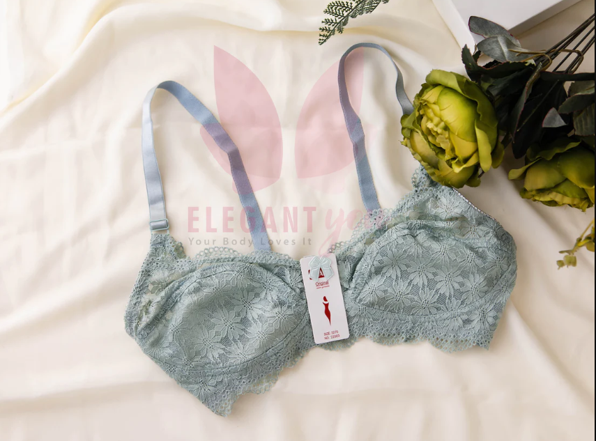 4 Beautiful Dailywear Net Bra
