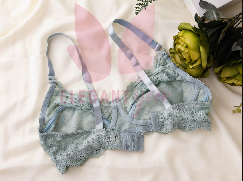 4 Beautiful Dailywear Net Bra